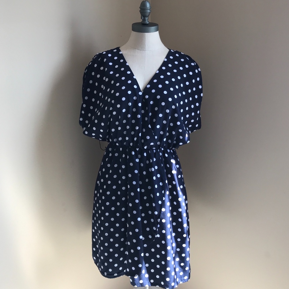 H&M Polka Dot Wrap Dress